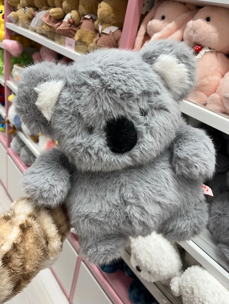 4895194b98e24ee6fd632d58295591a1