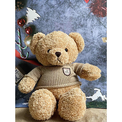 Gấu bông Teddy bear áo len xu hướng