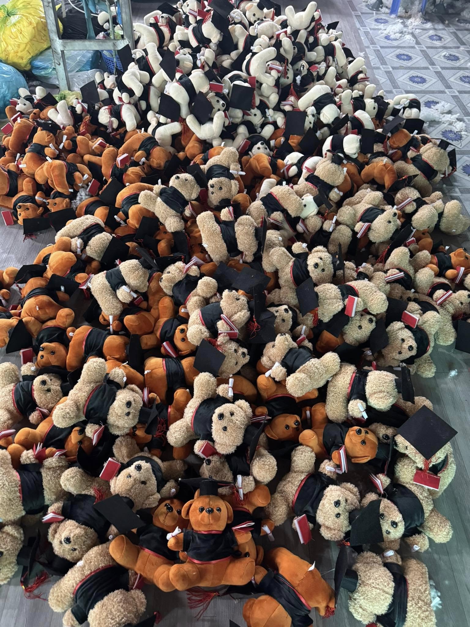 Gau Bong Tot Nghiep 12