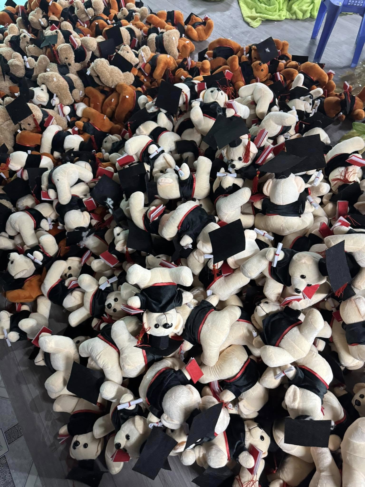 Đặt may gấu bông tốt nghiệp, gấu cử nhân sản xuất theo yêu cầu 2 Gau Bong Tot Nghiep 13