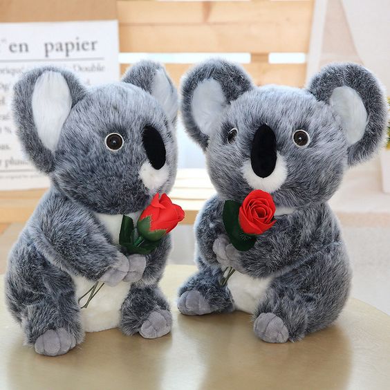 Thú nhồi bông gấu KOALA