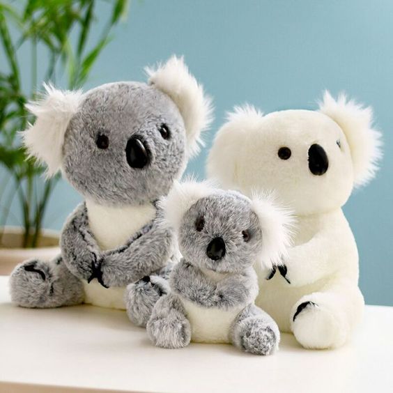 Thú nhồi bông gấu KOALA