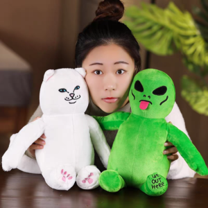 GẤU BÔNG MẶT BỰA 5 z4824318192415 38234ba4a9fc8fb256df4d8d11260d15